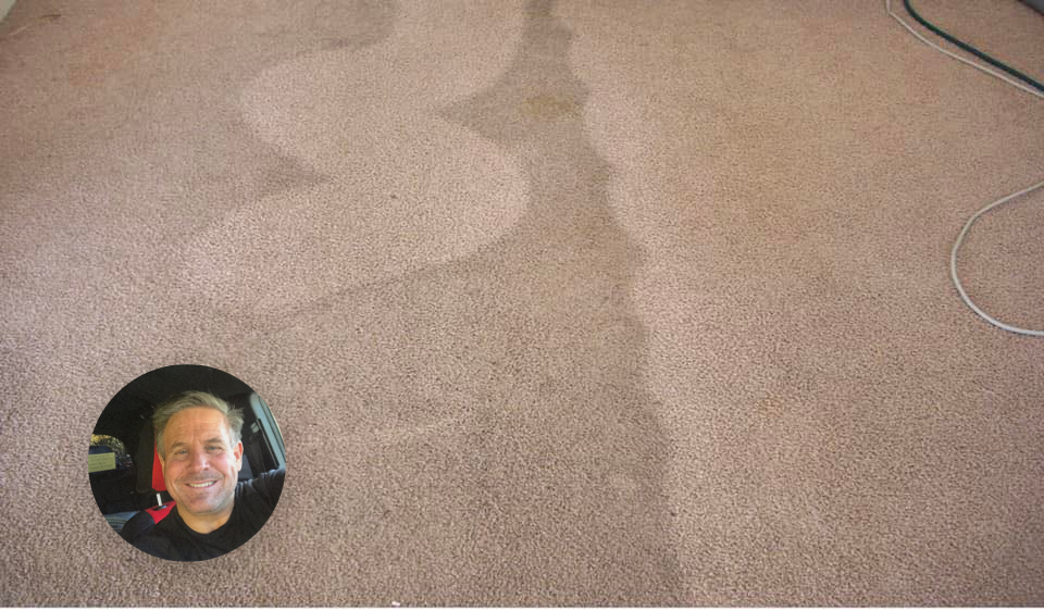 Professional carpet cleaning service in action