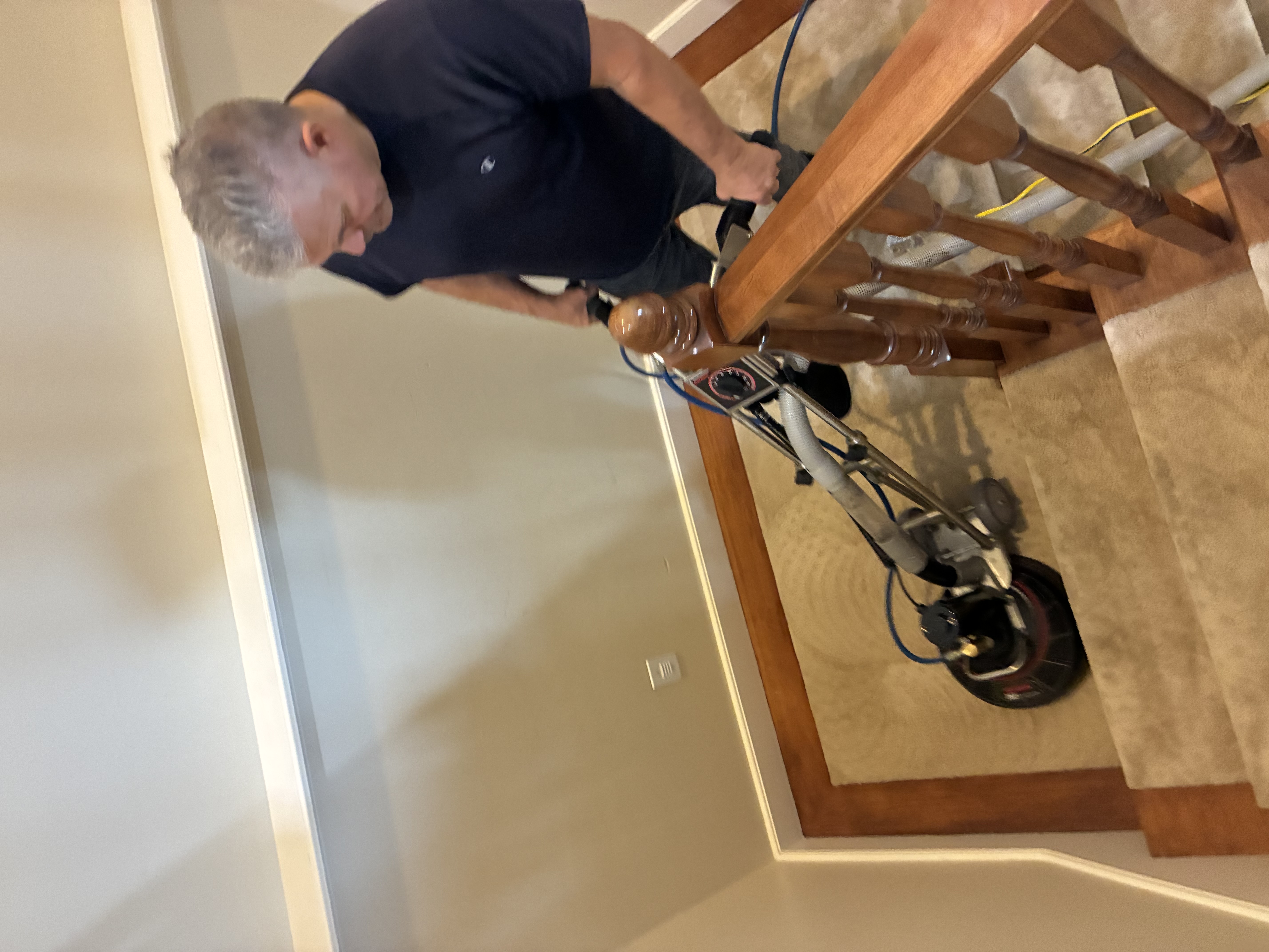 Detailed carpet cleaning process