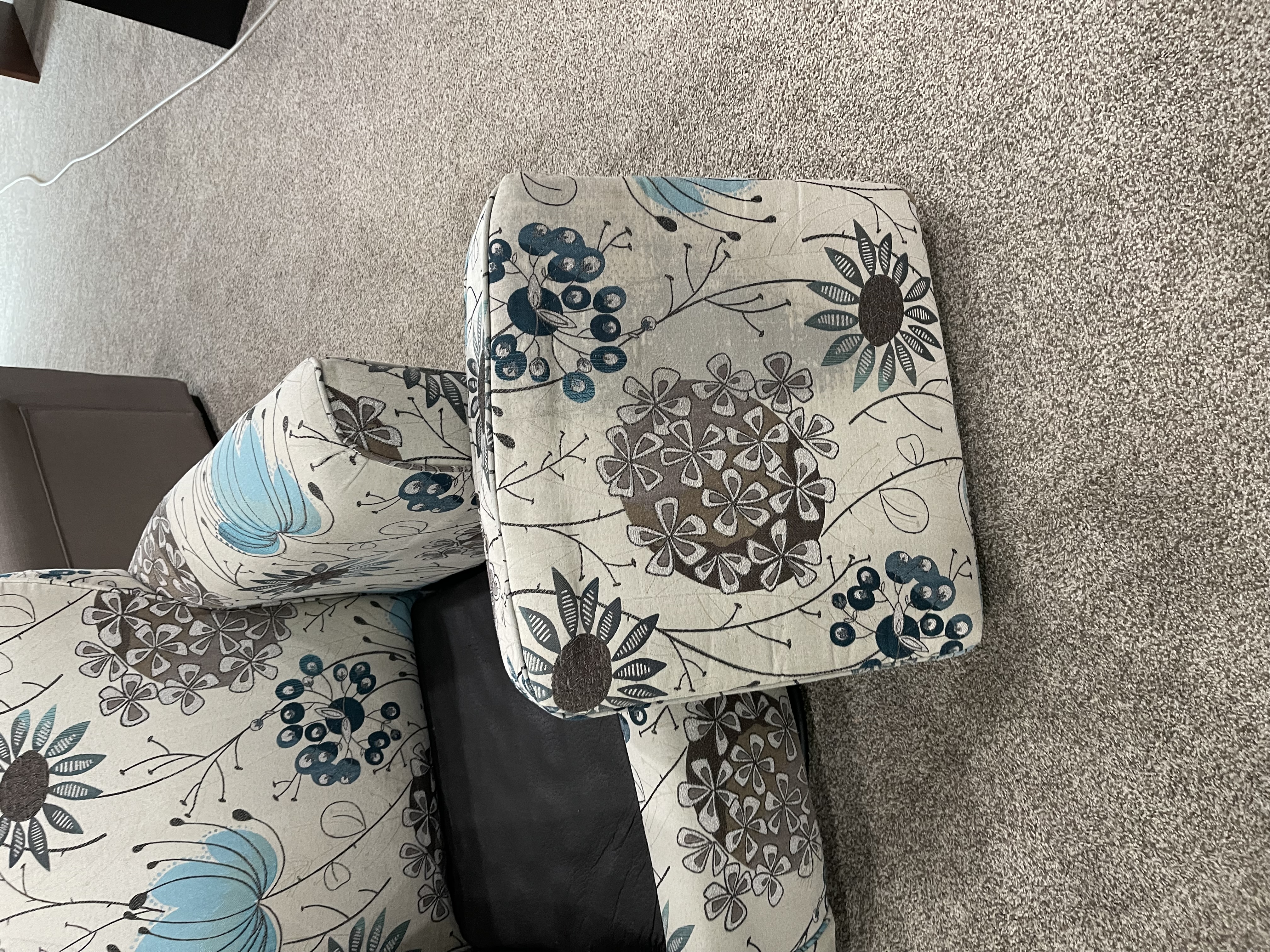 Professional upholstery and furniture cleaning