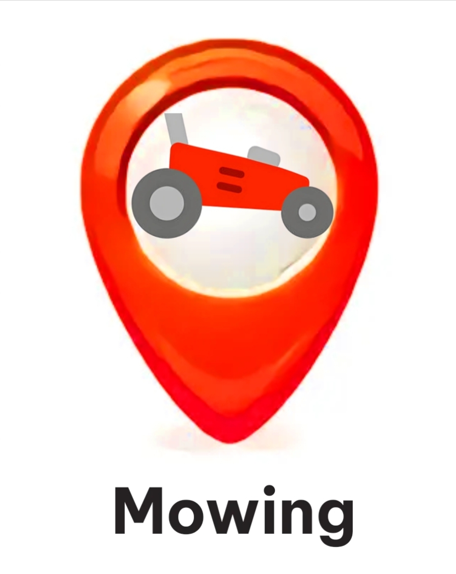 Professional lawn care service